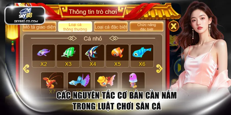 Các nguyên tắc cơ bản cần nắm trong luật chơi săn cá
