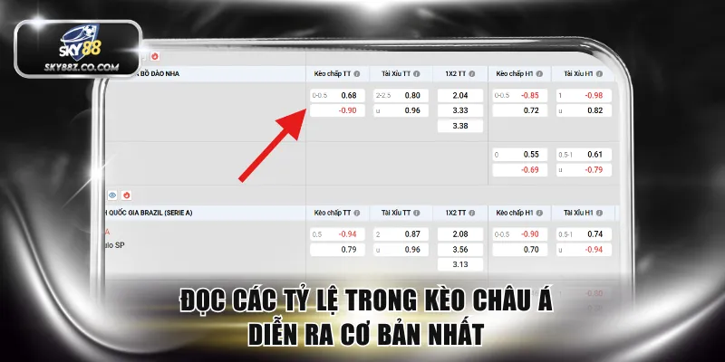 Đọc các tỷ lệ trong kèo châu Á diễn ra cơ bản nhất