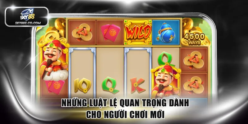 Những luật lệ quan trọng dành cho người chơi mới
